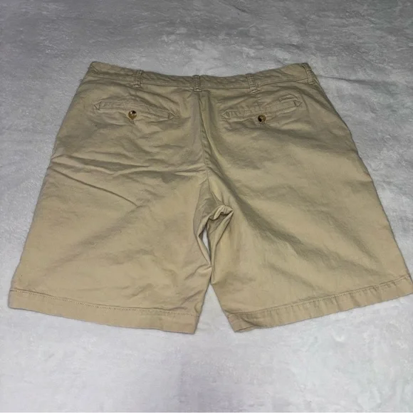 Pair of Men’s Size 36 IZOD Saltwater Khaki and Burnside Pinstriped Shorts - Picture 3 of 10